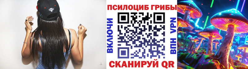 Псилоцибиновые грибы мицелий как найти закладки Пудож
