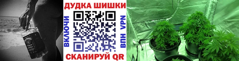 Шишки марихуана OG Kush  Пудож 